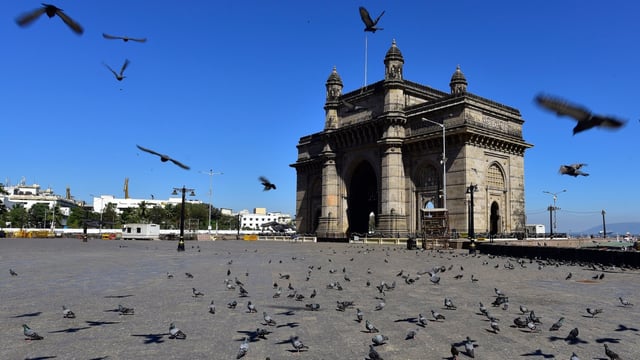 Pigeons at the Gateway of India in Mumbai.