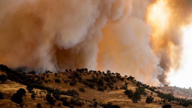 The Madre wildfire burns on Thursday, July 3, 2025, in San Luis Obispo County, Calif. 