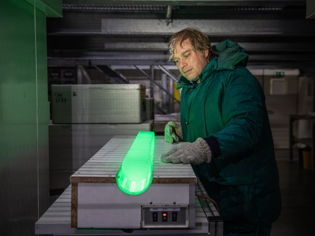 Der Glaziologe Frank Wilhelms im Eislabor des Alfred-Wegener-Instituts mit dem Eiskern am Lichttisch