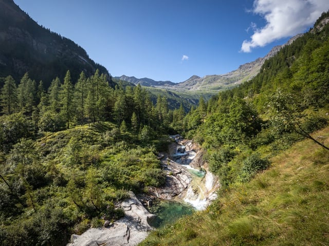 Die Kinder wurden in einem Wald in der Nähe von Turin aufgegriffen (Symbolbild)  