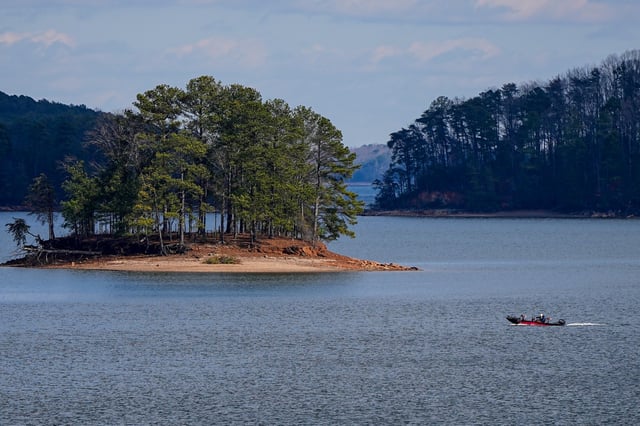 A boar moves on Lake Lanier, Thursday, Dec. 28, 2023, near Cumming, Ga. (AP Photo/Mike Stewart)