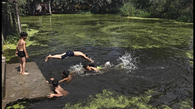 Children take bath in Dal Lake in Srinagar on Saturday. (Waseem Andrabi /HT)