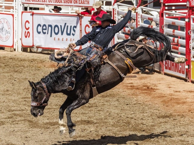  Weston Patterson rides Hotel Acres to the top day score in saddle bronc at the Calgary Stampede rodeo on Saturday, July 5, 2025.