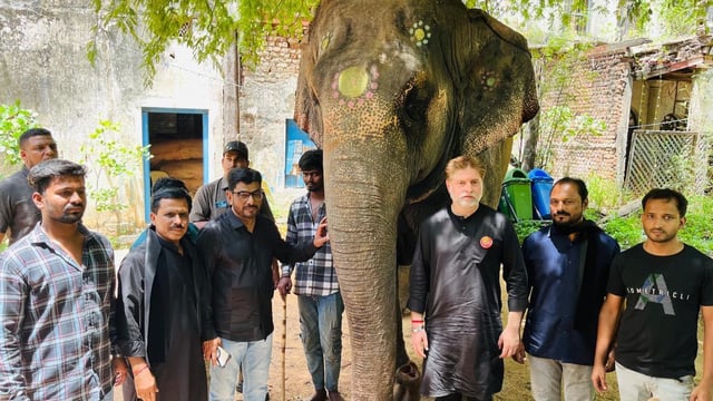 Lakshmi the elephant arrives safely in Hyderabad from Tumkur under the leadership of AIMIM President Asaduddin Owaisi and Floor Leader Akbaruddin Owaisi.