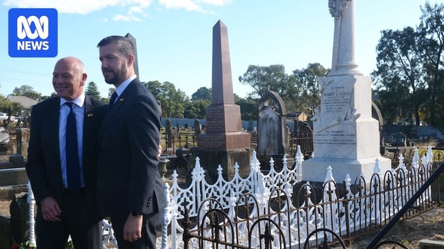 Lions at Sneddon grave