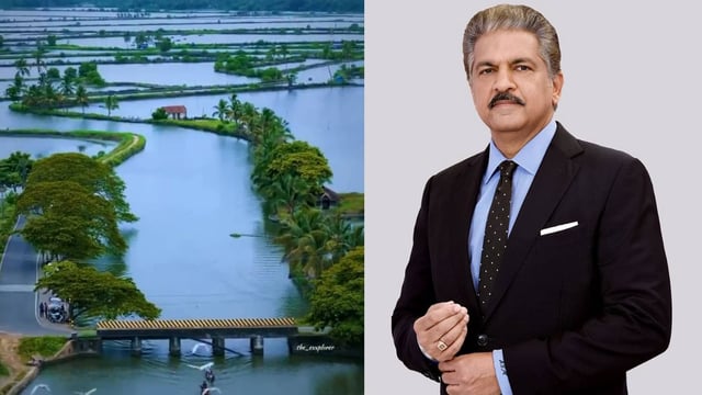 Anand Mahindra on Kadamakkudy  | Image: X