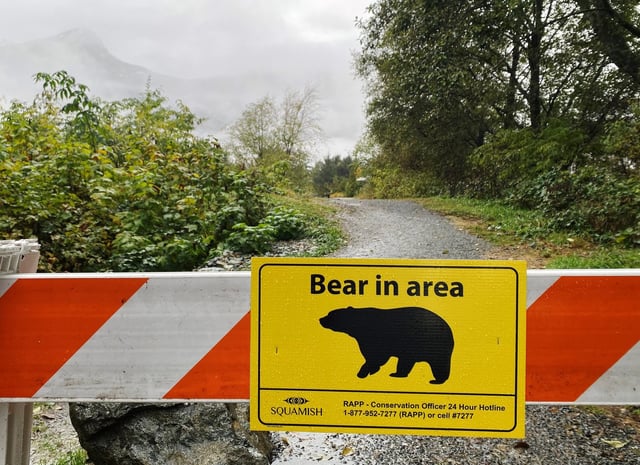 A sign warning of a bear in the area is shown in Squamish, B.C., Friday, Nov. 4, 2022.THE CANADIAN PRESS/Amy Smart