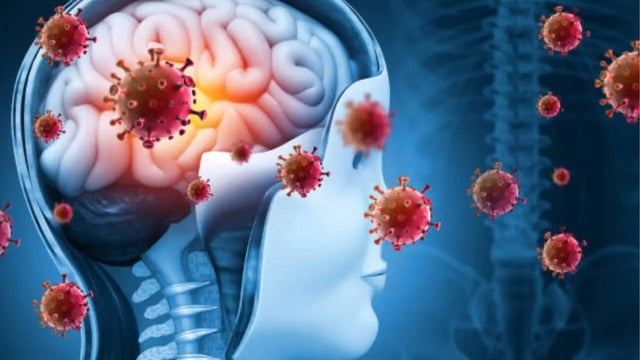 Kerala On High Alert After Nipah Virus Cases Here's Why It Happens Every Monsoon