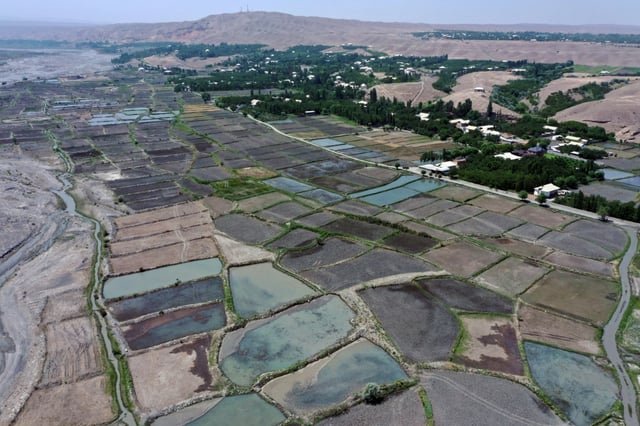 Vue aérienne de rizières dans la région de Batken, au Kirghizstan, le 22 mai 2025