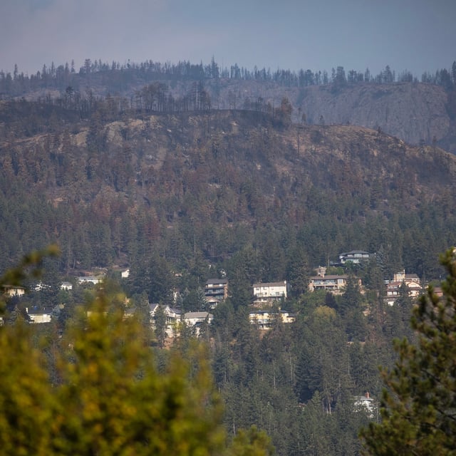 Burned trees are seen above a neighbourhood in West Kelowna, B.C. on Friday, Aug. 25, 2023. THE CANADIAN PRESS/Marissa Tiel