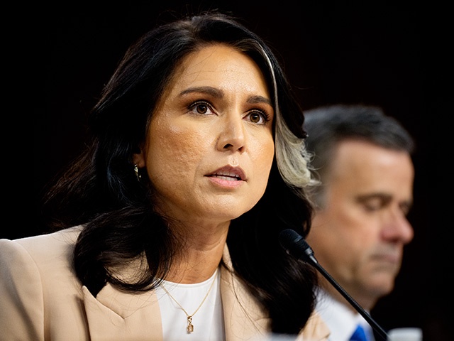 Director of National Intelligence Tulsi Gabbard (L) accompanied by Central Intelligence Agency Director John Ratcliffe (R), speaks during a Senate Committee on Intelligence Hearing on March 25, 2025 in Washington, DC. The hearing to examine worldwide threats comes a day after Jeffrey Goldberg, the editor-in-chief for The Atlantic magazine was inadvertently included on a high level Trump administration Signal group chat on bombing plans in Yemen on Houthi targets. (Photo by Andrew Harnik/Getty Images)