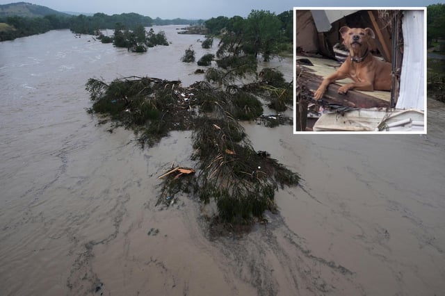 A raging Guadalupe River leaves fallen trees and debris in its wake, Friday, July 4, 2025, in Kerrville, Texas. (Right) A photo of Superman, a dog rescued after his owner died in the severe flooding.