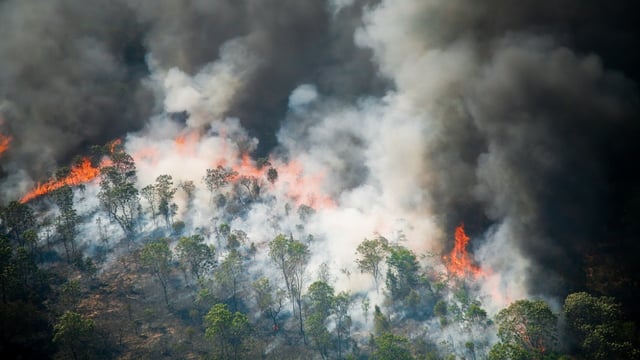 Laguna Beach Fire