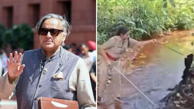 Shashi Tharoor (L) reposted a video of a brave forest officer rescuing a king cobra. 