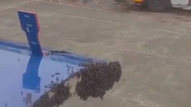 Surat Flight