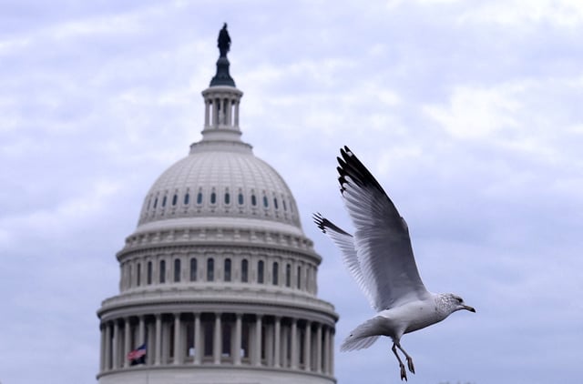 A bird flies in front of the U.S. Capitol building in Washington, US, November 10, 2024. REUTERS/Hannah McKay/File Photo
