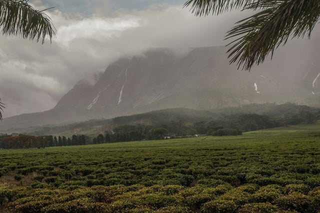 Le Mont Mulanje en octobre 2017 au Malawi