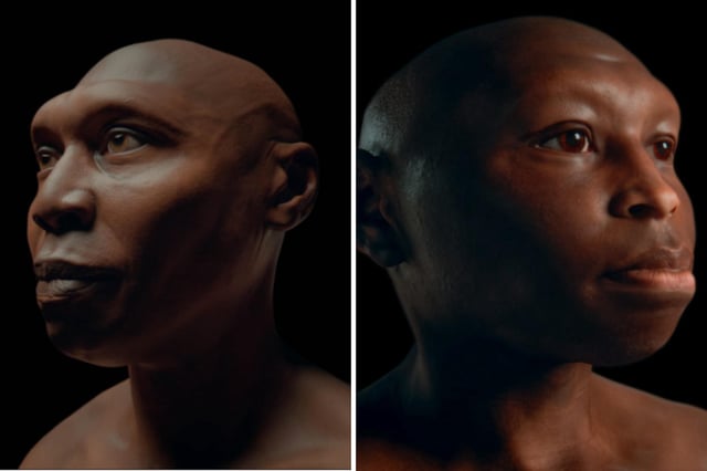 New images released show scientific reconstructions of early human species. On the left, the image shows Homo erectus, while on the right, the image shows Homo floresiensis.