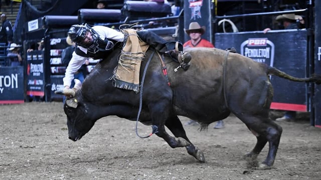 Gavin Matthews competes during the Professional Bull Riders (PBR) Unleash the Beast bull riding event (Photo by Tayfun Coskun/Anadolu via Getty Images)