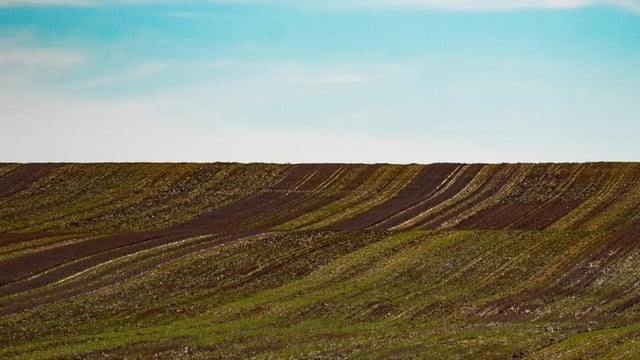 Tier 2 cities emerged as major players in India’s land transaction ecosystem in the first half of 2025, with Coimbatore recording the largest single land transaction of 714 acres. (Photo for representational purposes only)