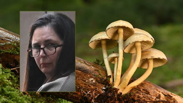 Erin Patterson condenada a cadena perpetua por envenenar y matar a sus ex suegros en Australia. Foto: Canvas y Heraldo de México