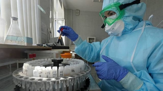 
         En Europa los investigadores determinaron que la variante Stratus de Covid se multiplica en forma rápida