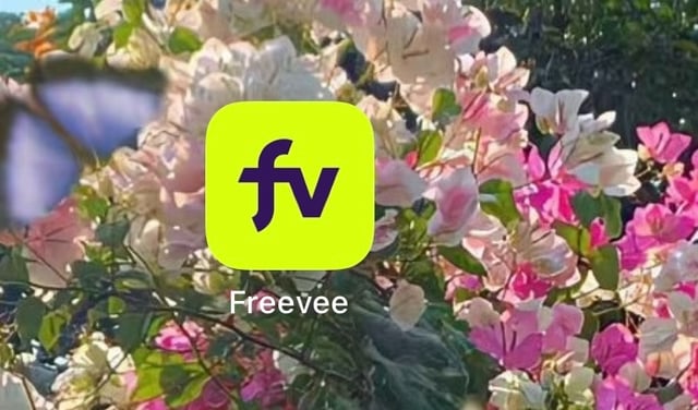 A photo of the Amazon-owned Freevee app, which informed subscribers on July 8 that the service would only continue to be available until August.