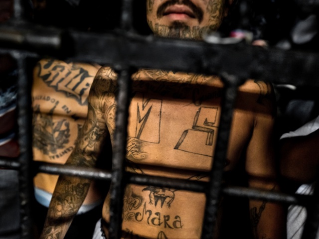 A member of the Mara Salvatrucha gang (MS-13) stands behind bars in a cell at a detention center on February 20, 2014 in San Salvador, El Salvador. Although the country's two major gangs reached a truce in 2012, the police holding cells currently house more than 3000 inmates, five times the official capacity. Partly because Mara gang members did not break with their criminal activities, partly because Salvadorean police still applies a controversial anti-gang law which allows to detain almost anyone for suspicion of gang membership. Accused young men are held in police detention centers where up to 25 inmates may share a cell of five square metres. In the dark overcrowded cages, under harsh and life-threatening conditions, suspected gang members wait for trial or for to be transported to a regular prison. (Photo by Jan Sochor/LatinContent via Getty Images)