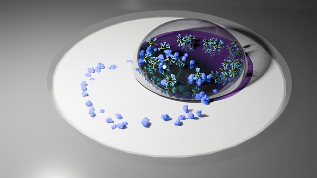 Using coffee-ring effect, scientists boosted sensitivity of diagnostic tests by pre-concentrating disease biomarkers into a ring pattern.