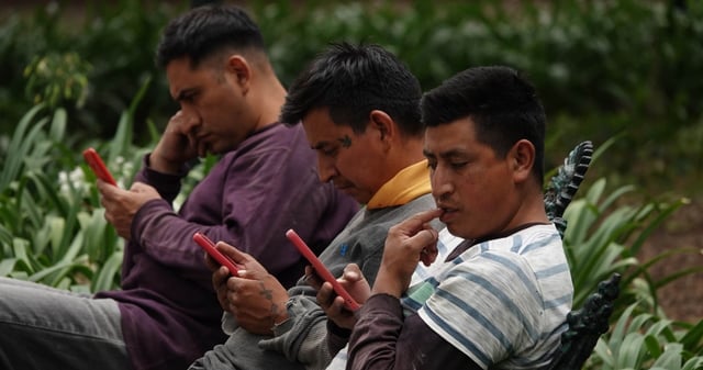 El software Pegasus suele infectar celulares para tener acceso a información privada. Foto: Graciela López, Cuartoscuro