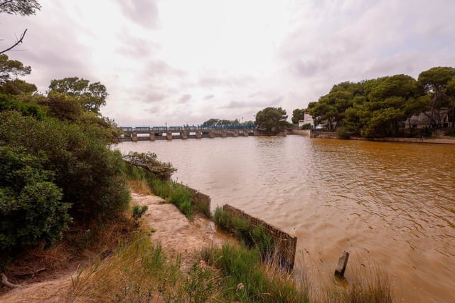 Una de las golas de l'Albufera en la jornada de ayer.