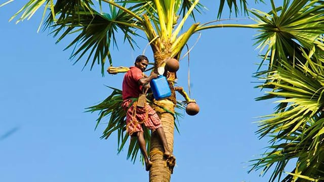 A total of 15 people were hospitalised after consuming toddy at a shop in Kukatpally. (Pic used for representation)