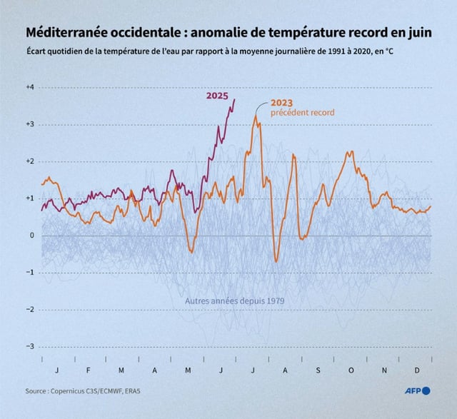 Anomalies quotidiennes de la température de surface de la mer en Méditerranée occidentale de 1979 à 2025, par rapport à la moyenne de 1991-2020, en °C, d'après les données de Copernicus