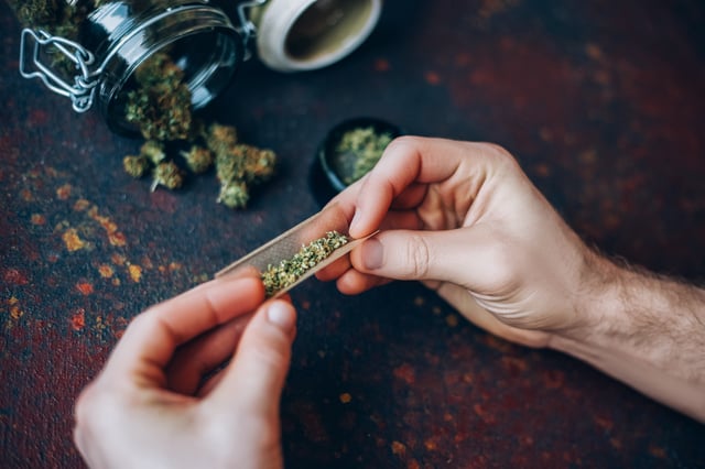 Man&#39;s hands twist marijuana into a cigar on dark background