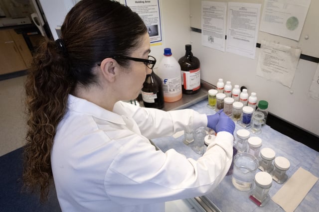 Rita Roberts does research on skin wound healing in a lab in the Department of Kinesiology and Nutrition at the University of Illinois Chicago on March 05, 2025 in Chicago, Illinois. Researchers at universities around the country, who rely on federal grants from the National Institutes of Health to fund their research, are concerned about the future of their projects after the Trump administration cut funding for indirect costs that help universities to operate the research labs. (Photo by Scott Olson/Getty Images)