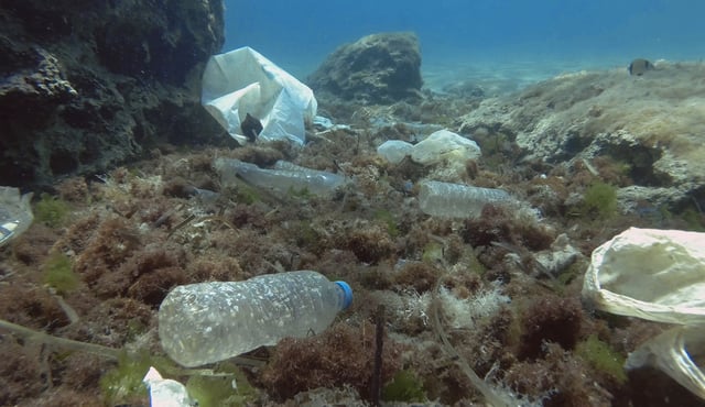 Anders als der hier deutlich erkennbare Plastikabfall bleibt das Nanoplastik im Meer unsichtbar. © Andriy Nekrasov/ iStock