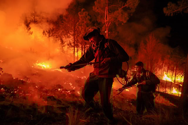El año pasado, los incendios provocaron pérdidas millonarias