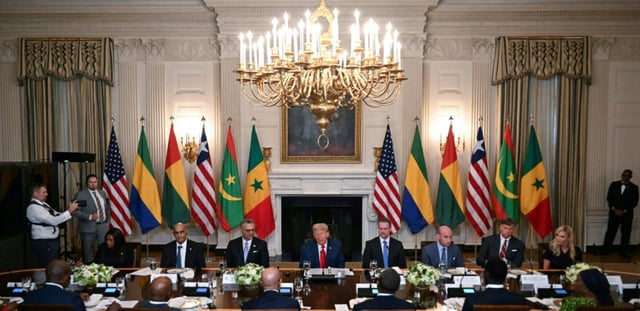 Donald Trump s'exprime lors d'un déjeuner avec les présidents de cinq Etats africains, à la Maison Blanche à Washington le 9 juillet 2025