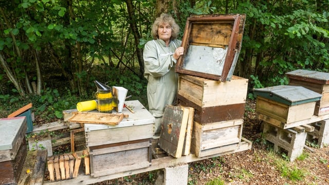 Debra Cruttenden keeps her hives in woodland 400m from the nearest track