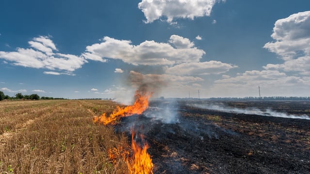 Fire (10)