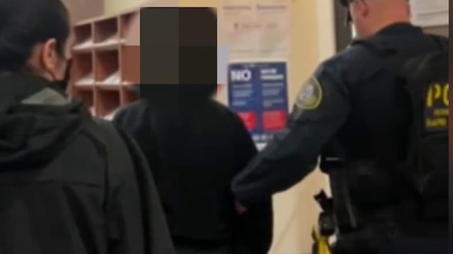 The latest video to send shock waves from San Diego immigration court through the immigrant communtiy is actually not of an immigrant, but, rather of a 71-year-old U.S. citizen, Barbara Stone.