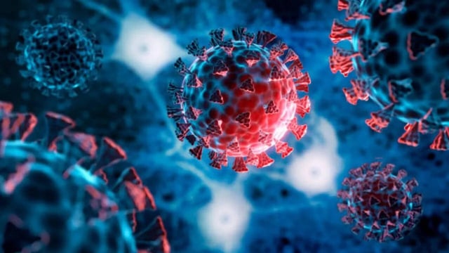 COVID-19 Alert, Doctor Warns of a Highly Infectious New Strain That Could Evade Vaccine