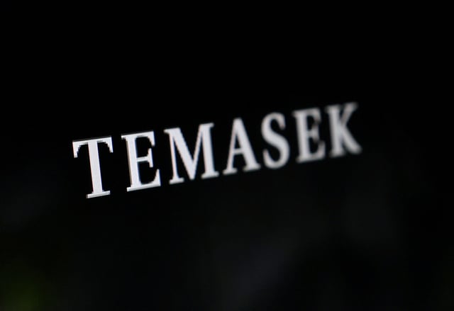 Temasek logo is seen in this illustration taken November 30, 2022. REUTERS/Dado Ruvic/Illustration/File Photo