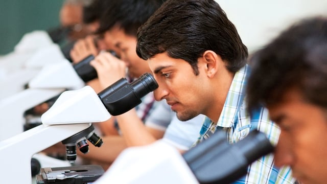 Beware of fake NEET PG notices, social media posts: Medical board advisory