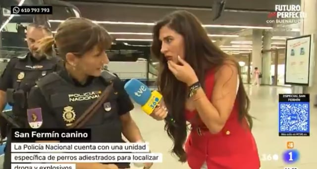 El perro que encontró droga durante una entrevista televisiva en San Fermín