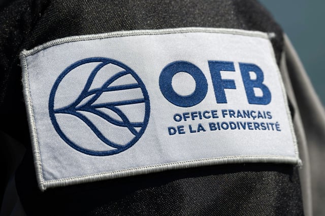 Cinq personnes, dont le milliardaire Olivier Bouygues, ont été renvoyées devant le tribunal correctionnel en mars 2026 dans le cadre d'une enquête ouverte après des suspicions de destruction d'espèces d'oiseaux protégées dans un domaine de chasse en Sologne