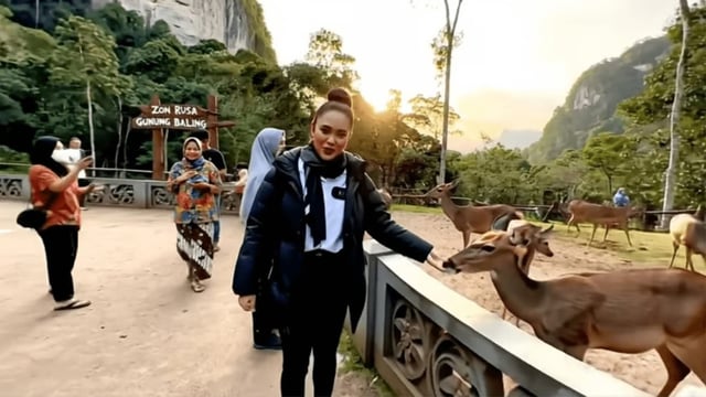 An AI-generated reported pets fictional deer at a petting zoo in a fake advertisement.