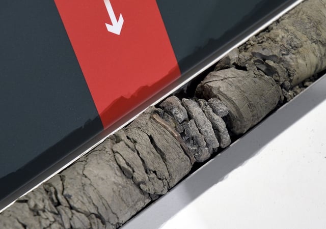 Part of a fossilized vertebrae from a herbivorous dinosaur found deep under the parking lot of the Denver Museum of Nature & Science is displayed at the museum on July 9, 2025. (AP Photo/Thomas Peipert)