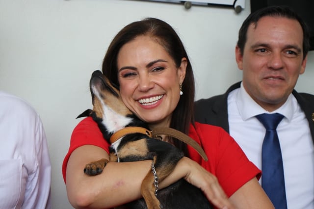 Inició operaciones el mayor hospital veterinario público de la región del Bajío, el Hospital de Mascotas León 450, que fe inaugurado por la presidenta municipal de León, Guanajuato, Ale Gutiérrez.