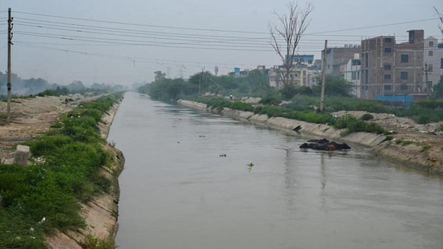 The Munak Canal is 102km-long of which 85km are in Haryana and 17km are Delhi. (Vipin Kumar/HT Photo)